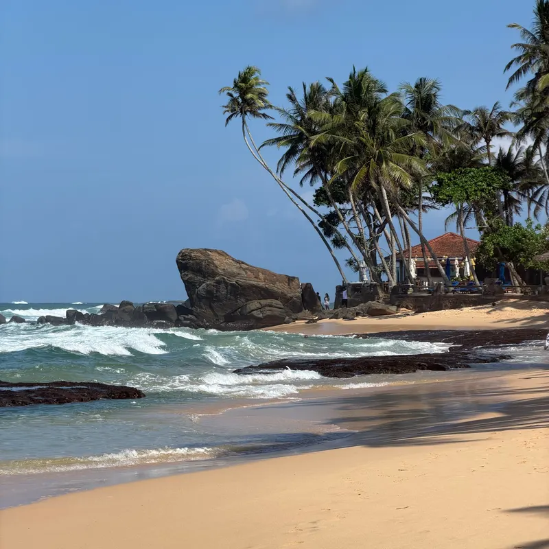 A tropical beach with palm trees and waves breaking on rocks