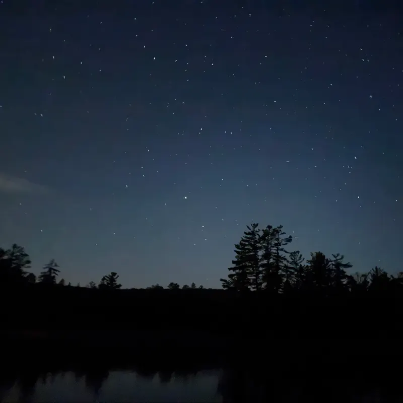 Stars over a dark treeline and a still lake